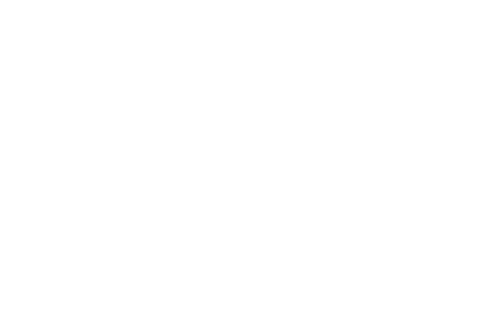 Healthy Moms Logo