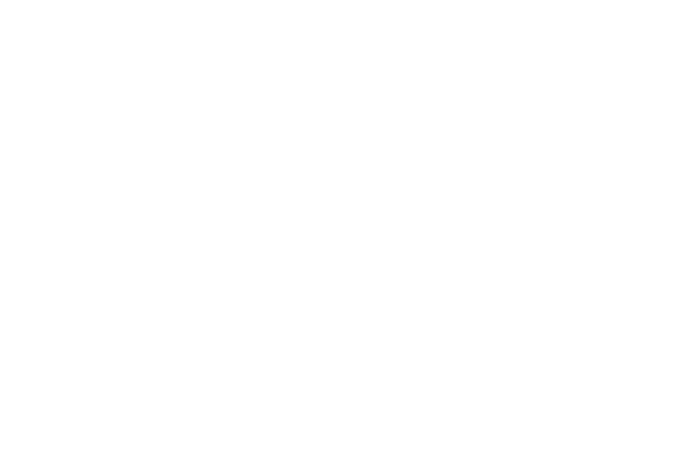 The Sweet Potato Logo